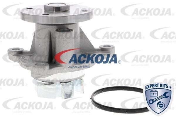 Ackoja A53-50010 Помпа водяна A5350010: Купити в Україні - Добра ціна на EXIST.UA!