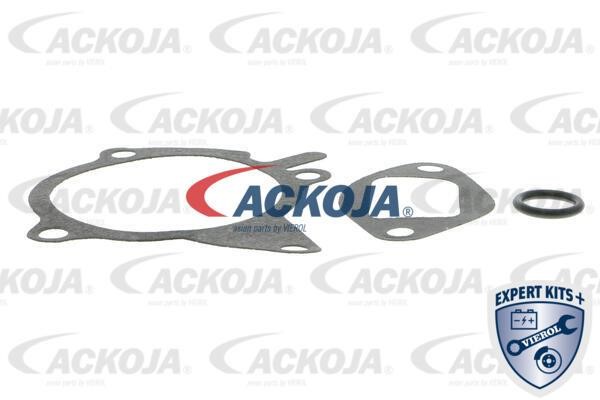 Купити Ackoja A32-50013 за низькою ціною в Україні!