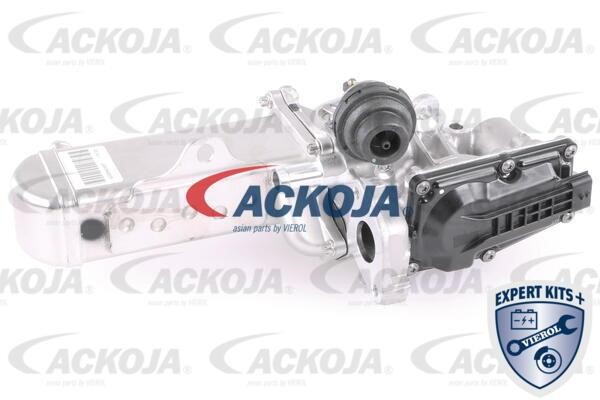 Ackoja A64-63-0001 Клапан системи рециркуляції ВГ A64630001: Купити в Україні - Добра ціна на EXIST.UA!