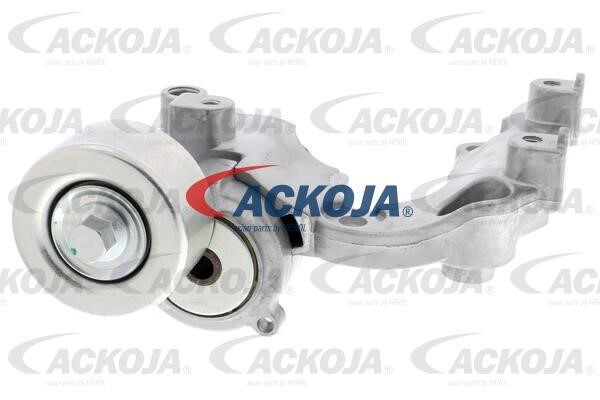 Ackoja A70-0666 Натягувач ременя приводного A700666: Приваблива ціна - Купити в Україні на EXIST.UA!