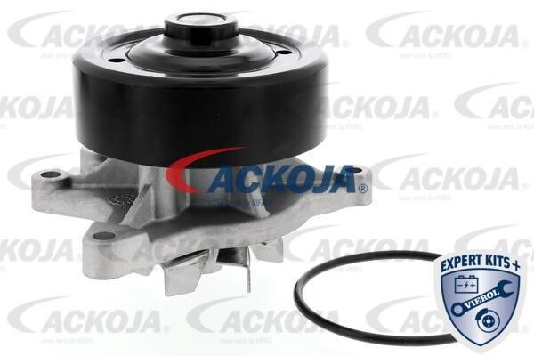 Ackoja A70-50012 Помпа водяна A7050012: Купити в Україні - Добра ціна на EXIST.UA!