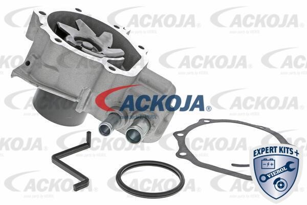 Ackoja A63-50003 Помпа водяна A6350003: Купити в Україні - Добра ціна на EXIST.UA!