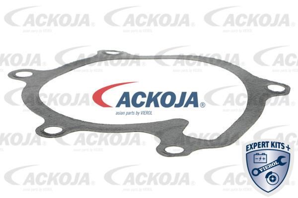 Купити Ackoja A70-50019 за низькою ціною в Україні!