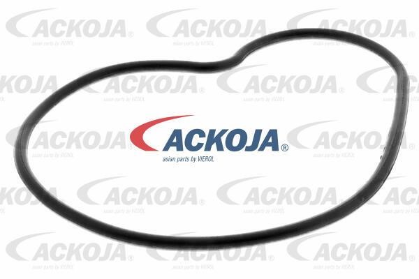 Купити Ackoja A26-50021 за низькою ціною в Україні!