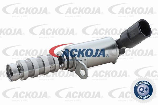 Ackoja A53-0091 Клапан фазорегулятора A530091: Приваблива ціна - Купити в Україні на EXIST.UA!