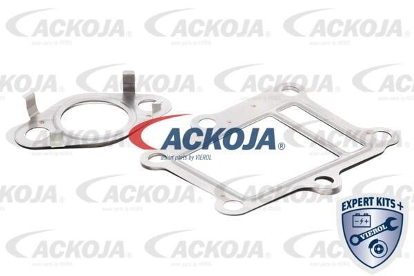 Ackoja A52-63-9013 Комплект ущільнень, система рециркуляції ВГ A52639013: Купити в Україні - Добра ціна на EXIST.UA!