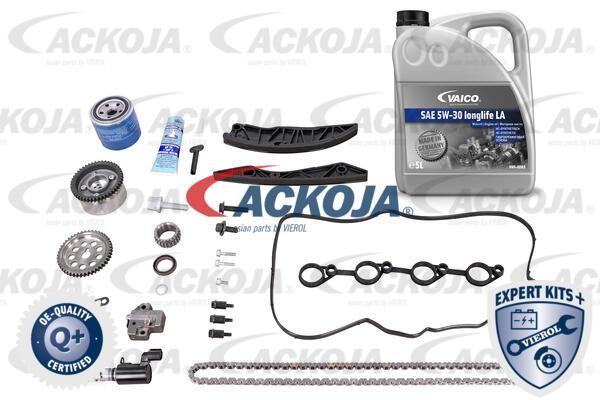 Ackoja A52-10001-XXL Комплект ланцюга ГРМ A5210001XXL: Купити в Україні - Добра ціна на EXIST.UA!