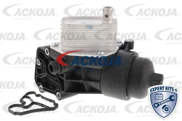 Ackoja A52-60-0011 Охолоджувач оливи, моторна олива A52600011: Купити в Україні - Добра ціна на EXIST.UA!