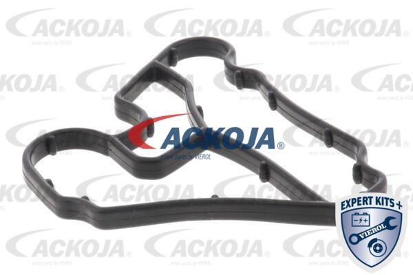 Купити Ackoja A52-60-0011 за низькою ціною в Україні!
