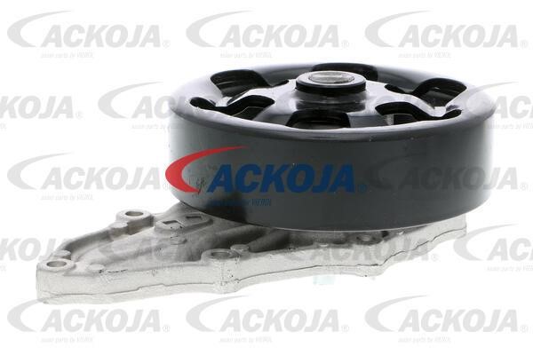 Ackoja A26-50009 Помпа водяна A2650009: Купити в Україні - Добра ціна на EXIST.UA!