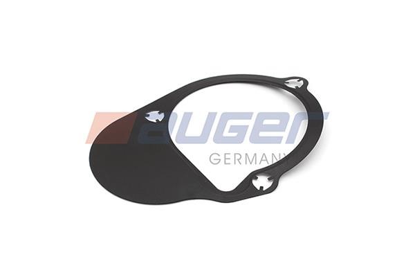 Auger 82125 Ущільнення 82125: Купити в Україні - Добра ціна на EXIST.UA!