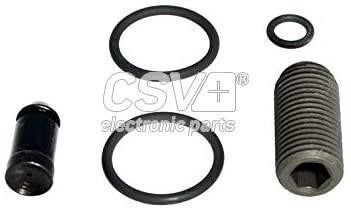 CSV electronic parts CRV1253 Ремкомплект форсунки паливної CRV1253: Купити в Україні - Добра ціна на EXIST.UA!
