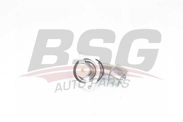 BSG 65-125-007 Термостат 65125007: Купити в Україні - Добра ціна на EXIST.UA!