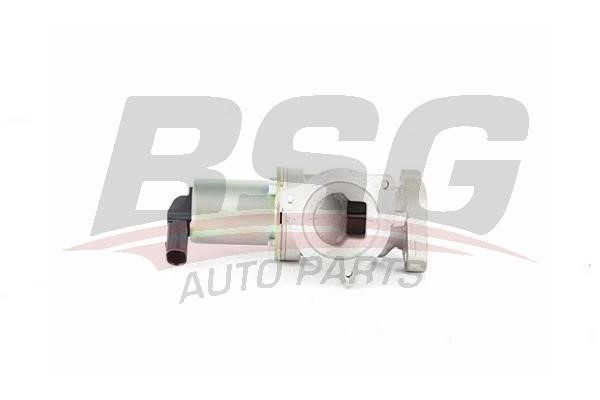 BSG 40-836-001 Клапан 40836001: Купити в Україні - Добра ціна на EXIST.UA!