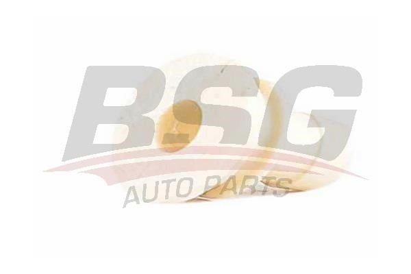 BSG 65-465-004 Ремкомплект приводу механізму перемикання передач 65465004: Купити в Україні - Добра ціна на EXIST.UA!