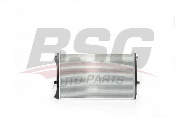 BSG 90-520-018 Радіатор, система охолодження двигуна 90520018: Купити в Україні - Добра ціна на EXIST.UA!