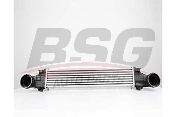 BSG 60-535-011 Інтеркулер 60535011: Купити в Україні - Добра ціна на EXIST.UA!