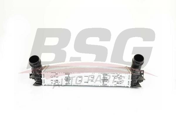 BSG 15-535-002 Інтеркулер 15535002: Купити в Україні - Добра ціна на EXIST.UA!