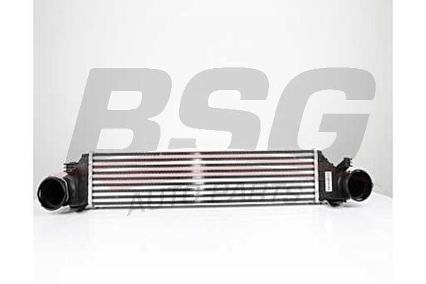 BSG 60-535-012 Інтеркулер 60535012: Купити в Україні - Добра ціна на EXIST.UA!