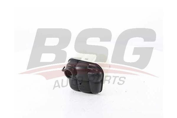 BSG 60-550-001 Розширювальний бачок, охолоджувальна рідина 60550001: Купити в Україні - Добра ціна на EXIST.UA!
