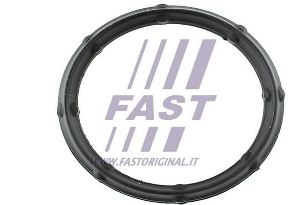 Fast FT49424 Прокладка впускного колектора FT49424: Купити в Україні - Добра ціна на EXIST.UA!