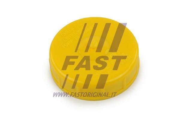 Fast FT94743 Ущільнювальне кільце, запірна пробка сервонасоса FT94743: Купити в Україні - Добра ціна на EXIST.UA!