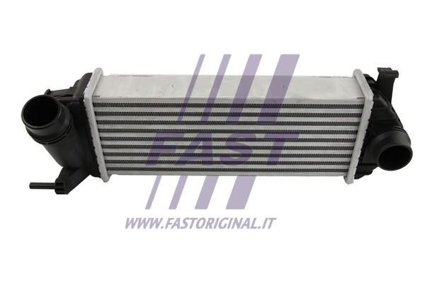 Fast FT55582 Інтеркулер FT55582: Купити в Україні - Добра ціна на EXIST.UA!