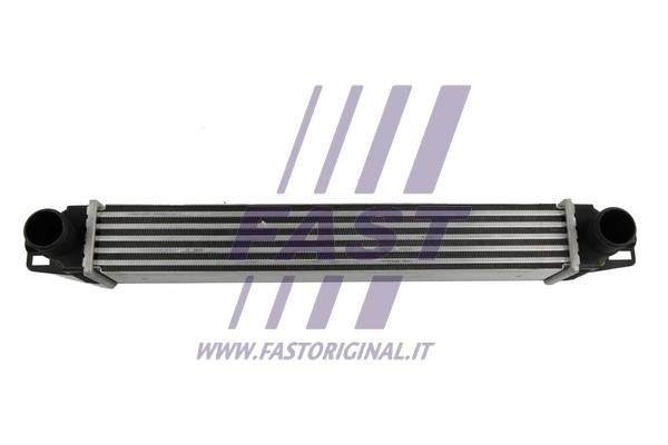 Fast FT55586 Інтеркулер FT55586: Купити в Україні - Добра ціна на EXIST.UA!