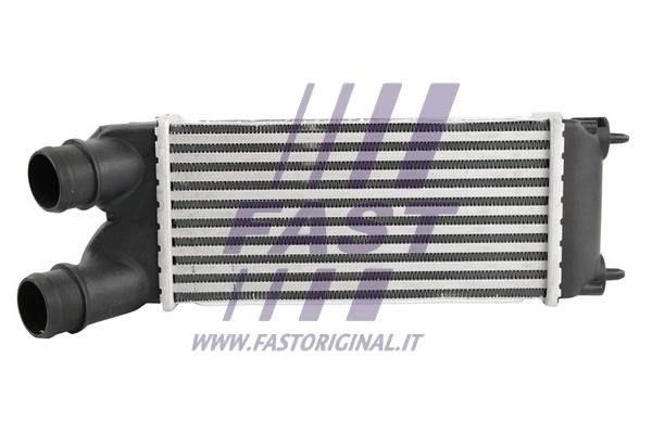 Fast FT55575 Інтеркулер FT55575: Купити в Україні - Добра ціна на EXIST.UA!