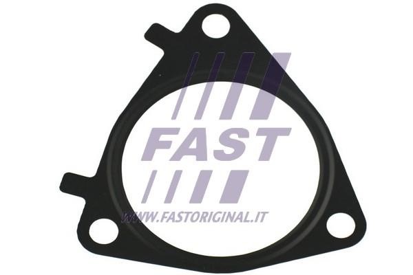 Fast FT49546 Ущільнення, клапан системи рециркуляції ВГ FT49546: Купити в Україні - Добра ціна на EXIST.UA!