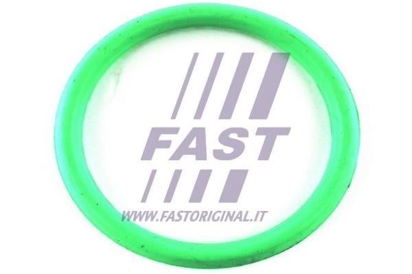 Fast FT49434 Прокладка впускного колектора FT49434: Приваблива ціна - Купити в Україні на EXIST.UA!