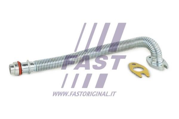 Fast FT61466 Оливний шланг FT61466: Купити в Україні - Добра ціна на EXIST.UA!