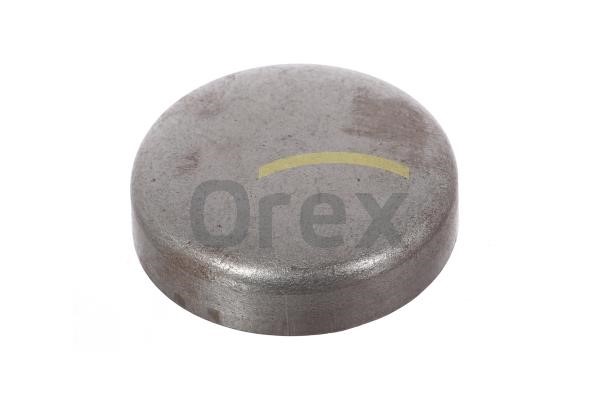 Orex 101080 Запірна кришка, кулачковий вал 101080: Купити в Україні - Добра ціна на EXIST.UA!