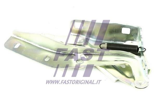 Fast FT94095 Петля капоту FT94095: Купити в Україні - Добра ціна на EXIST.UA!