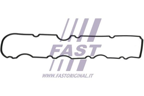 Fast FT49060 Прокладка клапанної кришки FT49060: Купити в Україні - Добра ціна на EXIST.UA!
