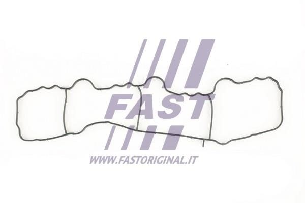 Fast FT49430 Прокладка впускного колектора FT49430: Купити в Україні - Добра ціна на EXIST.UA!