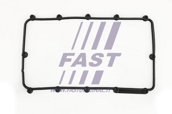 Fast FT49013 Прокладка клапанної кришки FT49013: Купити в Україні - Добра ціна на EXIST.UA!