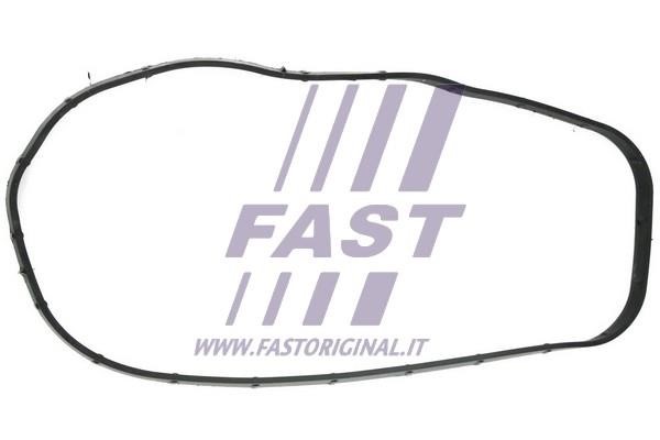 Fast FT49065 Ущільнення, картер розподільного механізму FT49065: Купити в Україні - Добра ціна на EXIST.UA!