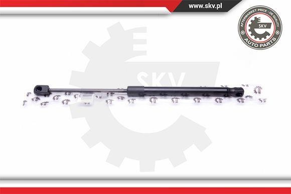 Купити Esen SKV 52SKV047 – суперціна на EXIST.UA!