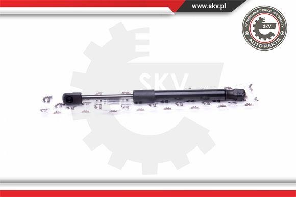 Купити Esen SKV 52SKV448 за низькою ціною в Україні!
