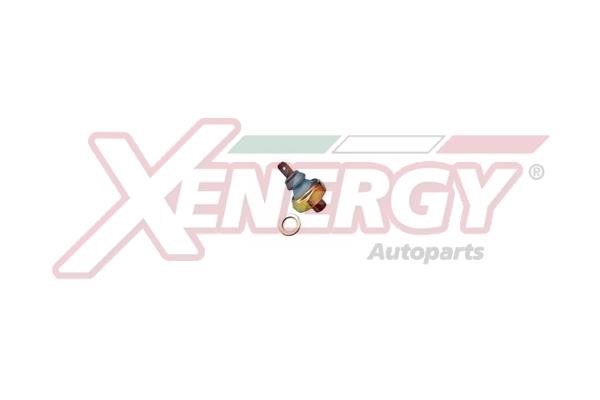 Xenergy XS3529 Гідравлічний вимикач XS3529: Купити в Україні - Добра ціна на EXIST.UA!