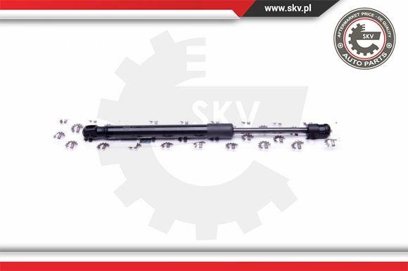 Купити Esen SKV 52SKV317 – суперціна на EXIST.UA!