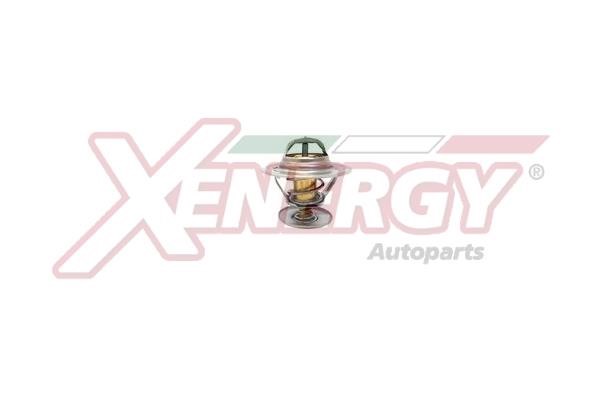 Xenergy XT1439.80 Термостат XT143980: Купити в Україні - Добра ціна на EXIST.UA!