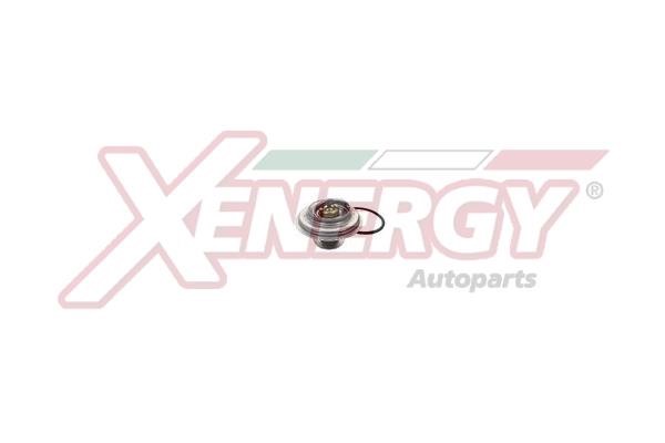 Xenergy XT5111.88 Термостат XT511188: Купити в Україні - Добра ціна на EXIST.UA!