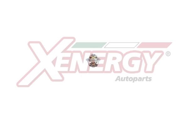 Xenergy XT6843 Термостат XT6843: Купити в Україні - Добра ціна на EXIST.UA!