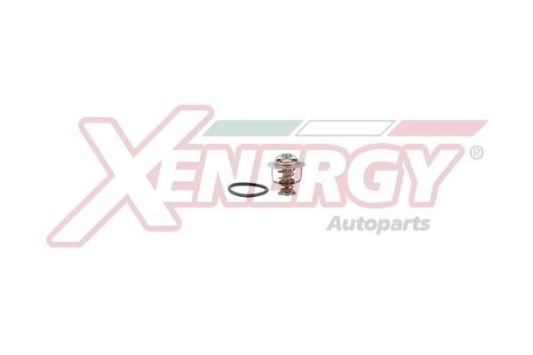 Xenergy XT6295.88 Термостат XT629588: Купити в Україні - Добра ціна на EXIST.UA!