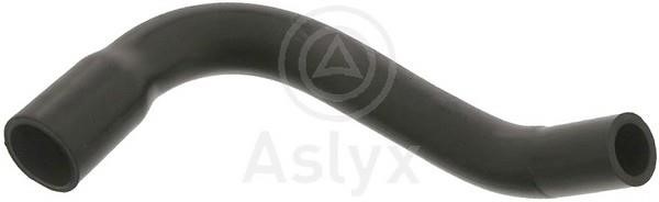 Aslyx AS-109551 Шланг, продування картера AS109551: Купити в Україні - Добра ціна на EXIST.UA!