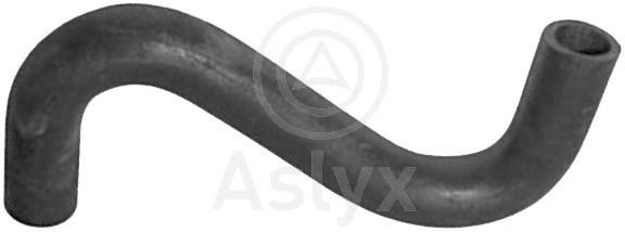 Aslyx AS-108225 Оливний шланг AS108225: Купити в Україні - Добра ціна на EXIST.UA!