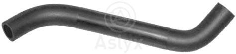 Aslyx AS-108552 Оливний шланг AS108552: Купити в Україні - Добра ціна на EXIST.UA!