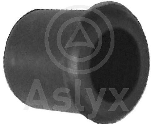 Aslyx AS-102325 Ущільнення, фланець охолоджувальної рідини AS102325: Купити в Україні - Добра ціна на EXIST.UA!